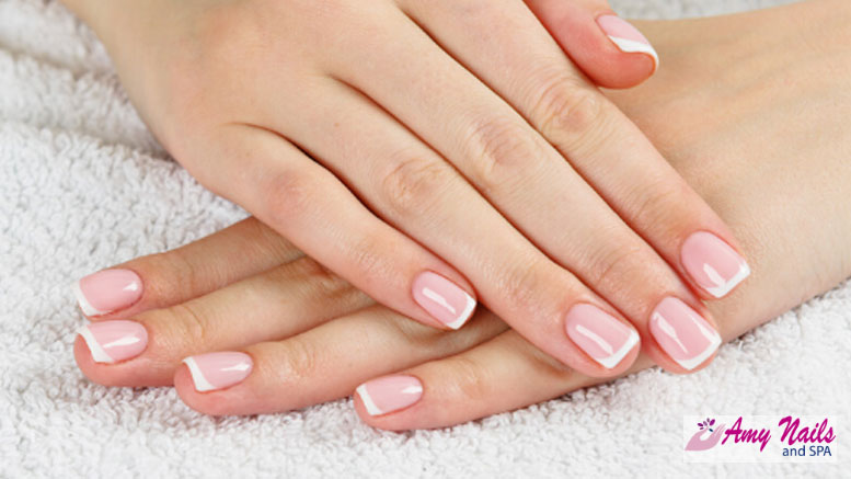Elegant French Tips – Amy Nails & Spa Professional